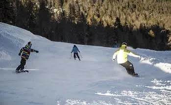 Apartament Dolomiti Relax Perarolo di Cadore
